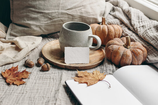Cozy autumn morning breakfast still life. Cup of hot coffee, tea son wooden plate near window. Blank business card mockup. Fall, Thanksgiving concept. Orange pumpkins, acorns and maple leaves.