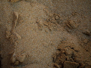 sand texture on the sea beach, sand, prints