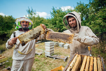 Two beekeepers holding frames with honeycombs. Harvest honey in the apiary.