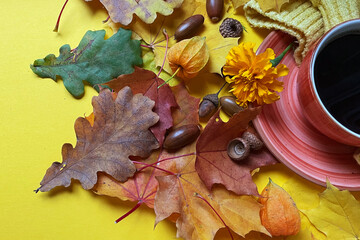 black coffee and autumn leaves on yellow background