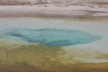 Fototapeta na wymiar Morning Glory Pool Yellowstone National Park