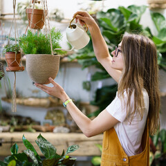 Young female gardener watering potted plant handing. Woman student or professional florist taking care of houseplants in home garden, floral store or orangery. Gardening hobby leisure activity concept - obrazy, fototapety, plakaty