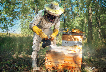 Treatment of hives with smoke with medicine. Prevention and treatment of bee diseases.