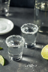 Boozy Cold Tequila Shots