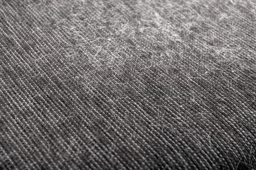 Molting of a cat. Cat hair at home. How to deal with cat hair. Concept. Photo