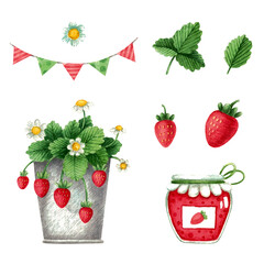 Set with strawberries and jam. Watercolor illustration. Beautiful. Printing on fabric. Background. Leaves. Garden. Cute. Design. Red. Green. Dessert. Collection.Tasty. Plants. Nature. Summer is the Se