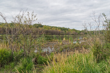 Bennett Lake, AB on a Cloudy Day