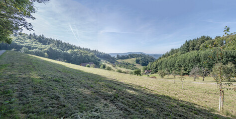 green glade among woods near Lautenbach, Black Forest, Germany