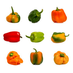 Sweet bell peppers in different colors and shapes. Vitamins and health from nature. Collage, Seth. Isolated on white background. Square format.