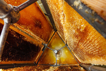 Frames with honeycombs in the honey extractor. Processing of beekeeping products.