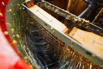 Pumping honey from honeycombs in a honey extractor. Processing of beekeeping products.