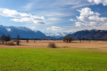 Spring panorama of green alpine meadows with snow-capped mountains 