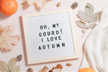 felt letter board and text oh my gourd I love autumn and leaves, pumpkins, sweater on beige...