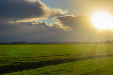 Scena con un campo di grano illuminato dal sole al tramonto a dicembre e con nuvole scure sparse sul cielo