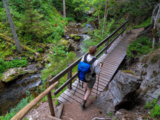 Obraz premium Wandern auf dem Schluchtensteig im Schwarzwald