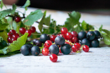 Sweet and natural red and black currents with green leaves on a white wooden background