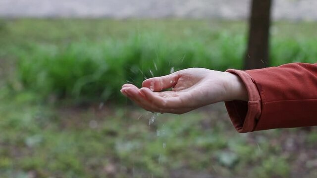 Close-up of a female hand trying to catch the falling raindrops on a rainy day on green nature background