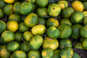 Top view of fresh green yellow tangerines. Harvest of organic mandarin fruits.