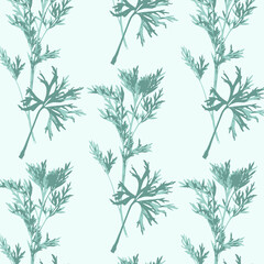 Vector pattern from botanical set of realistic bicolor herbs, wormwood. The herbarium is collected from meadow grasses. Suitable for cover design, wall art, invitation, fabric, poster, canvas print.