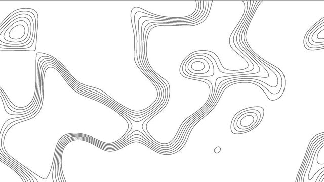 Topographic Line loop Background. Contour line texture.