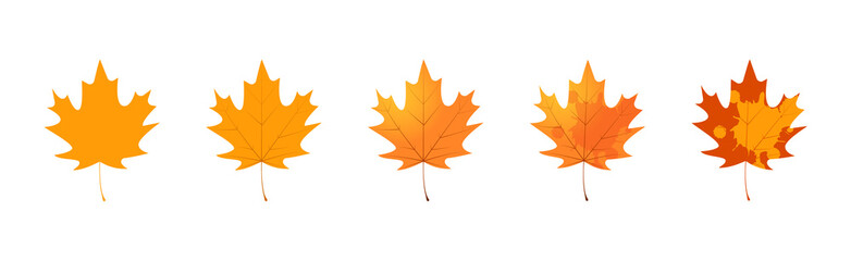 Withered maple leaf. Fallen autumn maple leaf icon