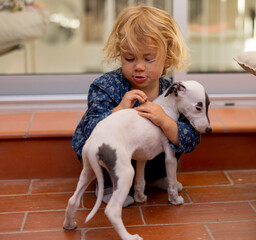 Cute girl with her pet whippet puppy