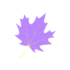 Fototapeta premium Withered maple leaf. Fallen autumn maple leaf icon