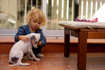 Cute girl with her pet whippet puppy