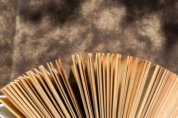 A book fanned out against a glittery background