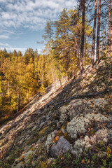 Golden autumn in Karelia. Autumn forest dressed up in autumn decoration.