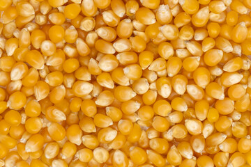 beautiful corn kernels
 in the foreground for healthy cooking