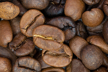 Coffee beans and grinder on table with rustic background