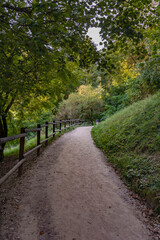 Fototapeta na wymiar A path up in the autumn forest