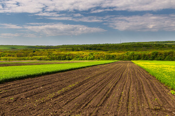 Farmlands and meadows in the Moldavian, Republic of Moldova.