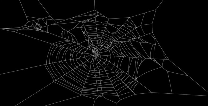 Isolated Old White Spider Web Illustration