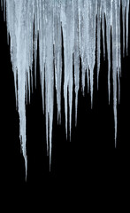 group of long icicles isolated on black background