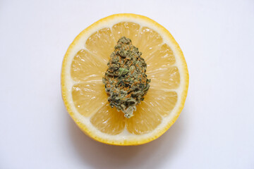 Cannabis bud macro view, close-up, flat lay. Lemon haze marijuana bloom on white background. Weed...