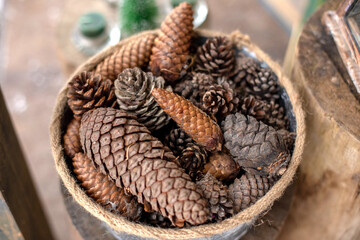Natural spruce cones and pine cones in a wicker basket