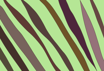 zebra stripes background