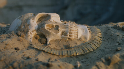 Human skull with necklace in sand