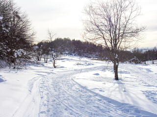Winter park, outdoor walks, sparkling snow, sunny weather.