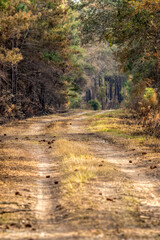 A Road Less Traveled