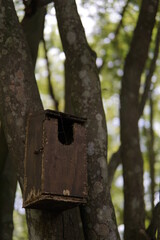 People visit the ecologic park Las Garzas in Cali, Colombia, with wild animals and different trees species
