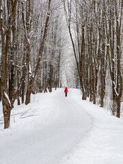 Alley in a snow-covered winter forest with silhouette of a woman in a red jacket walking into the distance. Winter natural background.