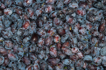 Harvesting and selling crops.