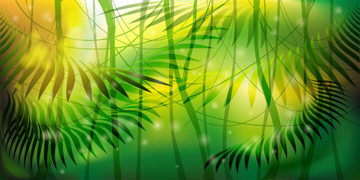 Wild Jungle Forest Background
