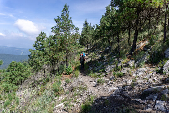 person walking on a mountain / senderista en el Parque Nacional Desierto de los Leones, M&eacute;xico