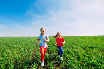 Fototapeta premium Running kids in green field during summer.