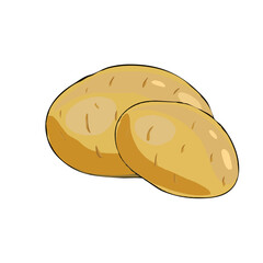 Potatoes vector illustration. Isolated white background. Transparent objects used for lights and shadows drawing