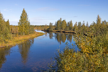 Fototapeta na wymiar Golden autumn on Ladoga, Karelia, former Finnish territory. Winding coast